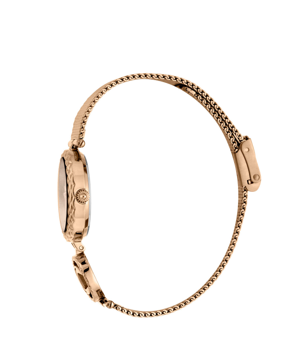 ساعت مچی زنانه جاست کاوالی Just Cavalli مدل JC1L103M0075