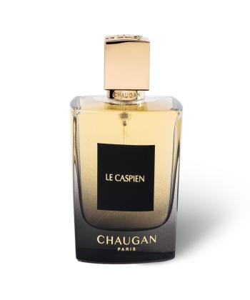 ادوپرفیوم حجم 100 میلی لیتر مردانه چوگان مدل LE CASPIEN