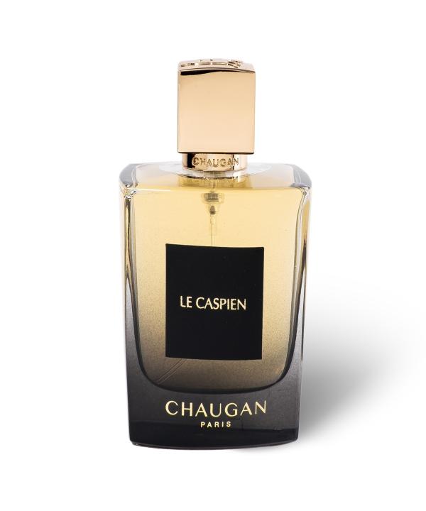 ادوپرفیوم حجم 100 میلی لیتر مردانه چوگان مدل LE CASPIEN