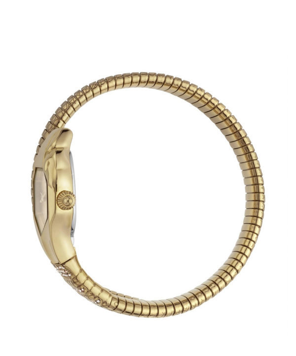 ساعت مچی زنانه جاست کاوالی Just Cavalli مدل JC1L113M0025