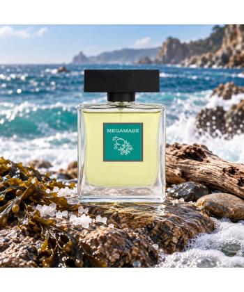 ادوپرفیوم حجم 100 میلی لیتر مردانه پرستیژ مدل Megamare 1