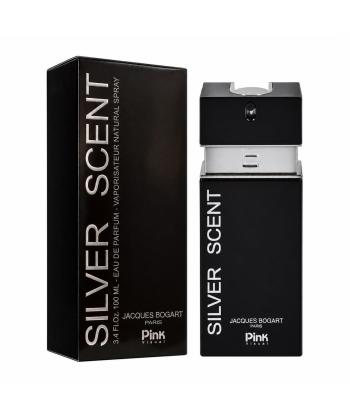 ادوپرفیوم حجم 100 میلی لیتر مردانه پینک ویژوال مدل Silver Scent 1