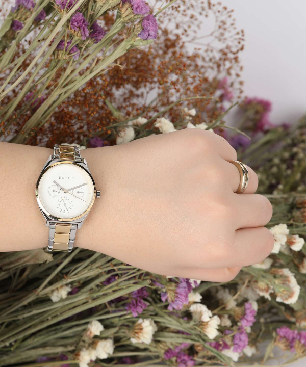 ساعت مچی زنانه اسپریت Esprit  مدل ES1L060M0085