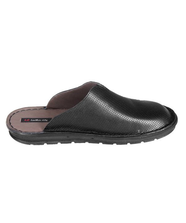 دمپایی مردانه شهر چرم Leather City مدل F293