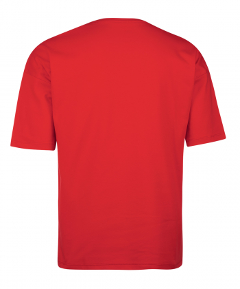 تیشرت یقه گرد مردانه آروما  Aroma کد 13801202