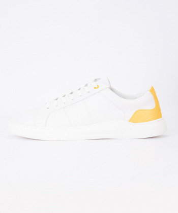 product-color