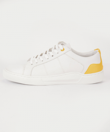 product-color