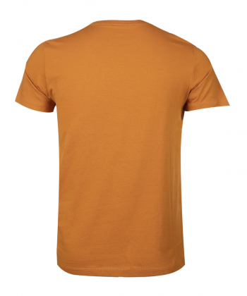 تیشرت مردانه طرح دار آروما Aroma کد 10101411