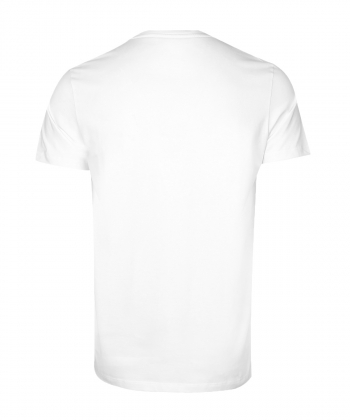 تیشرت مردانه طرح دار آروما Aroma کد 10101406