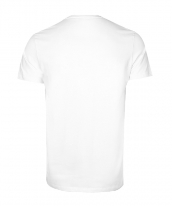 تیشرت یقه گرد مردانه آروما Aroma کد 10101418