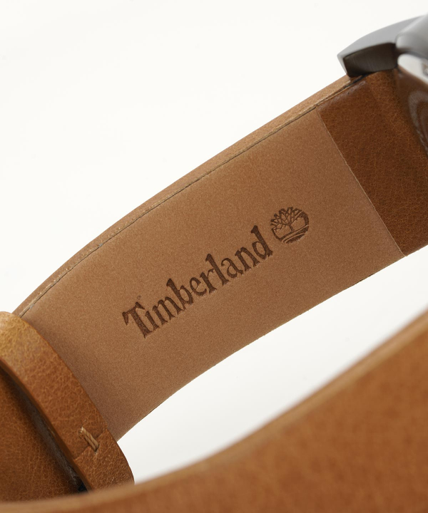 ساعت مچی مردانه تیمبرلند Timberland مدل TBL15548JSU-03AS