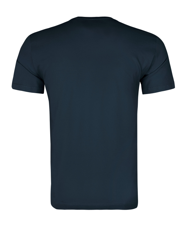 تیشرت مردانه وینترهارت WinterHart کد M2029002TS