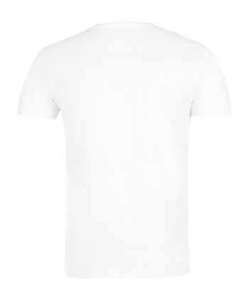 تیشرت یقه گرد مردانه برند پی لس Brand Payless کد 3002