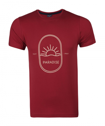 تیشرت مردانه ناوالس Navales کد 1091