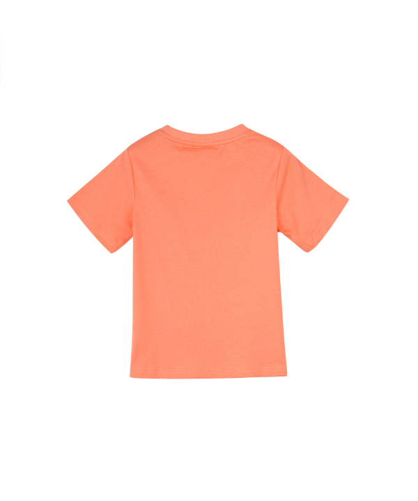 تیشرت پسرانه جین وست Jeanswest مدل 02573509
