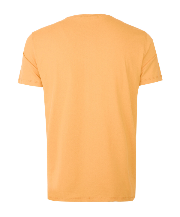 تیشرت یقه گرد مردانه آلفونسی Alfonsi کد M2114009TS