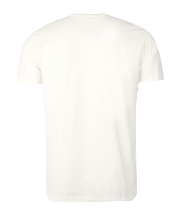 تیشرت یقه گرد مردانه آلفونسی Alfonsi کد M2114009TS