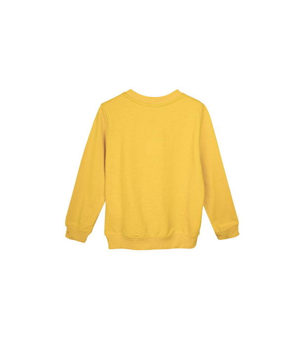سویشرت پسرانه جین وست Jeanswest کد 01671541