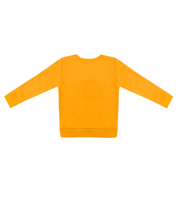 سویشرت پسرانه جین وست Jeanswest کد 93571842