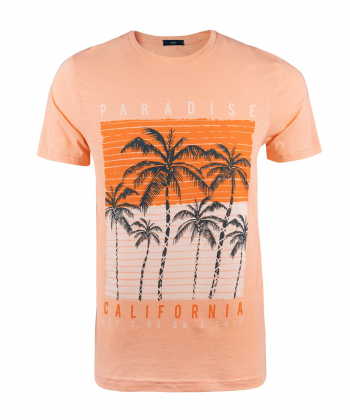 تیشرت آستین کوتاه مردانه آر ان اس مدل am-rns-12021014