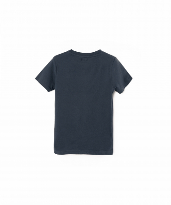 تیشرت پسرانه برند پی لس Brand Payless کد BP10536