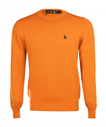 پلیور یقه گرد مردانه آروما Aroma کد 12201002