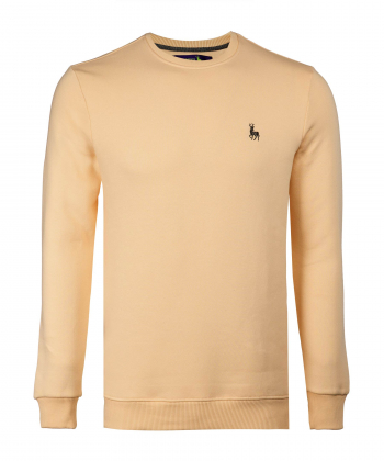 سویشرت مردانه آروما Aroma کد 12501001