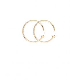 گوشواره برند پی لس Brand Payless کد BP100869