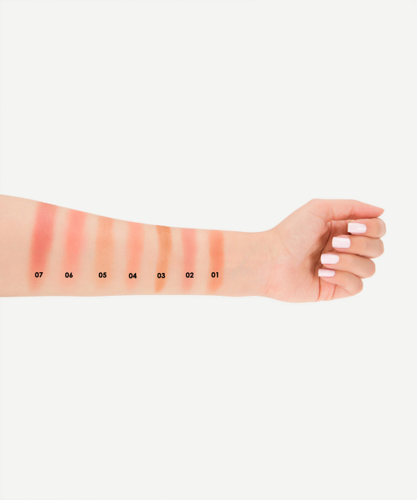 رژگونه مریدا Merida مدل Cheek Blush وزن 5.5 گرم