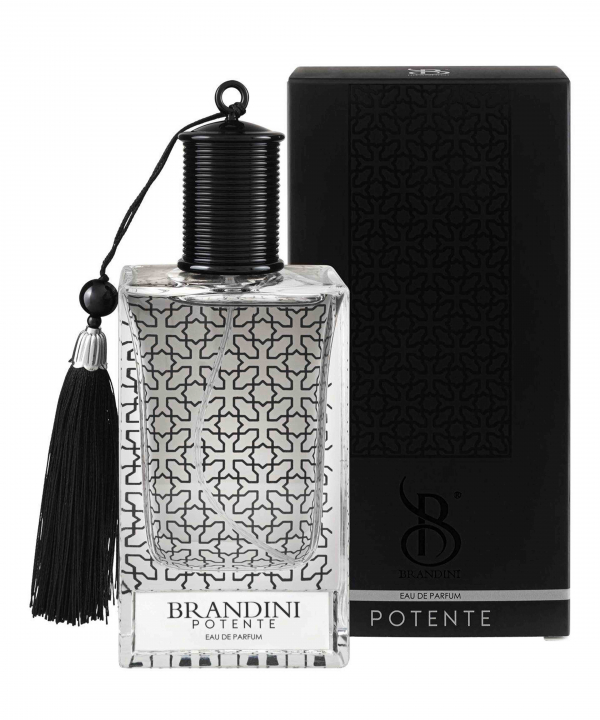 ادوپرفیوم مردانه برندینی Brandini مدل Potente حجم 90 میلی‌لیتر