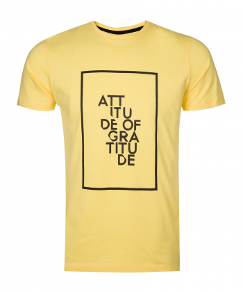 تیشرت نخی مردانه آروما Aroma کد 10101050