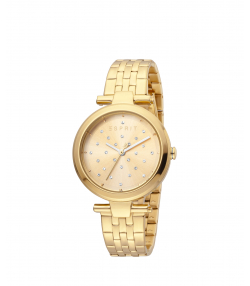ساعت مچی زنانه اسپریت Esprit کد ES1L167M0085