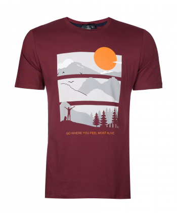 تیشرت چاپی مردانه اسپیور Espiur کد 2M13