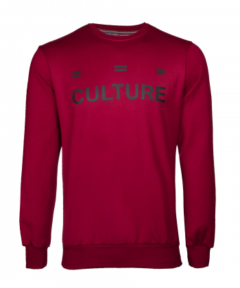 سویشرت یقه گرد مردانه رونی Roni کد 72110011