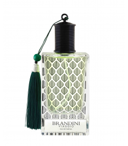 ادوپرفیوم مردانه برندینی Brandini مدل Viaggio حجم 90 میلی لیتر
