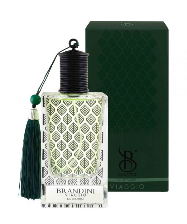 ادوپرفیوم مردانه برندینی Brandini مدل Viaggio حجم 90 میلی‌لیتر