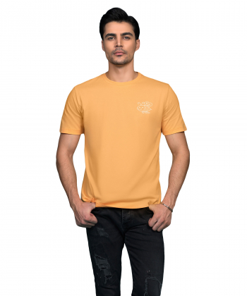 تیشرت یقه گرد مردانه اسپیور Espiur کد 2M28