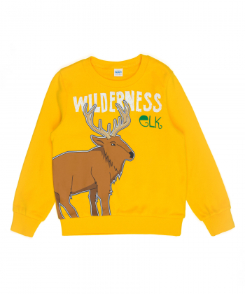 سویشرت نخی پسرانه بالنو Baleno کد 82101252