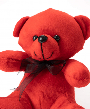 عروسک خرس کی تویز Kitoys کد Doll06