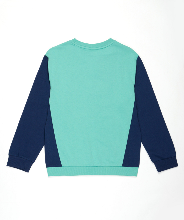 سویشرت پسرانه جین وست Jeanswest کد 13571504
