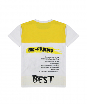 تیشرت یقه گرد پسرانه نونا Nona کد 11006