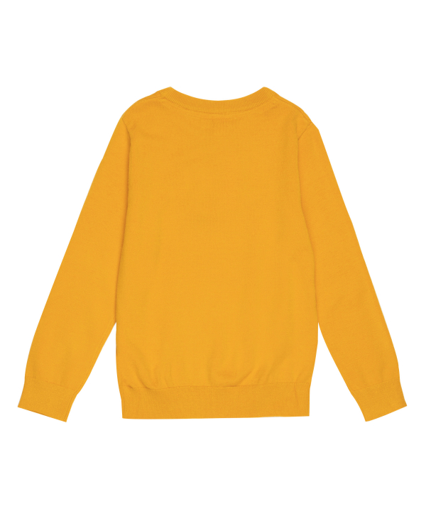 سویشرت یقه گرد پسرانه جین وست Jeanswest کد 13591501