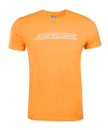 تیشرت یقه گرد مردانه جین وست Jeanswest کد 12573903