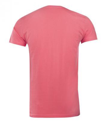 تیشرت یقه گرد مردانه جین وست Jeanswest کد 12573903