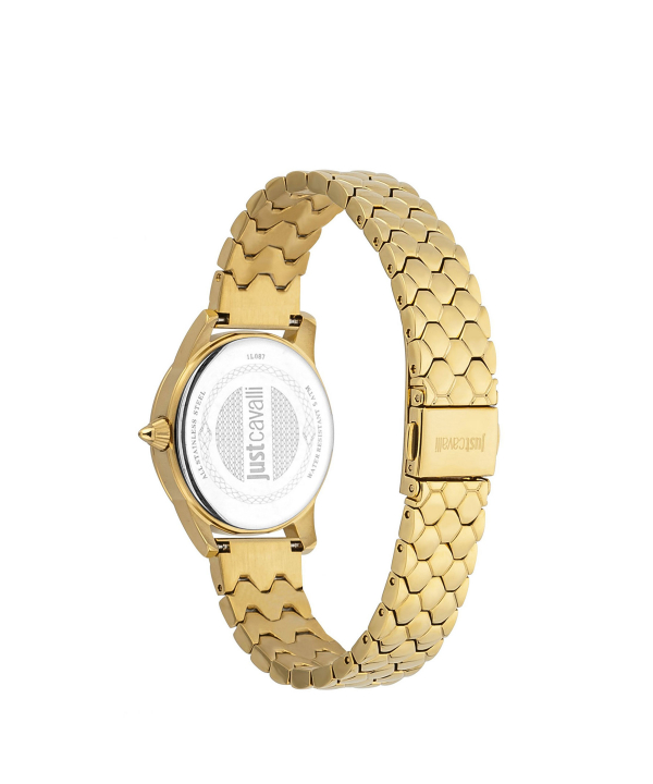 ساعت مچی زنانه جاست کاوالی Just Cavalli کد JC1L087M0255