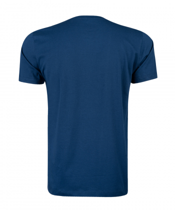 تیشرت طرح دار مردانه آروما Aroma کد 10101425