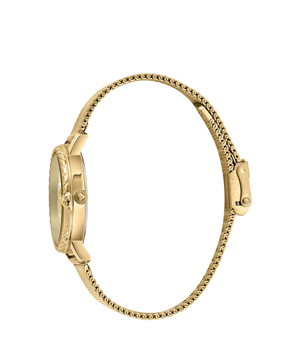 ساعت مچی زنانه جاست کاوالی Just Cavalli کد JC1L212M0235