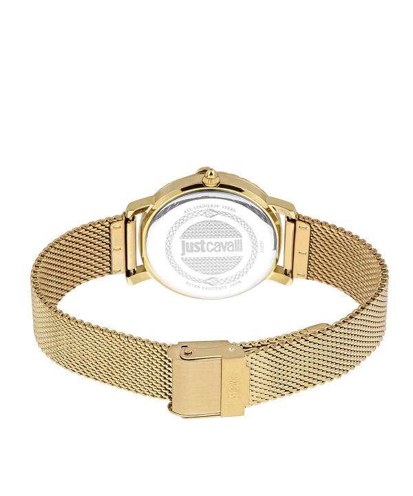 ساعت مچی زنانه جاست کاوالی Just Cavalli کد JC1L212M0235