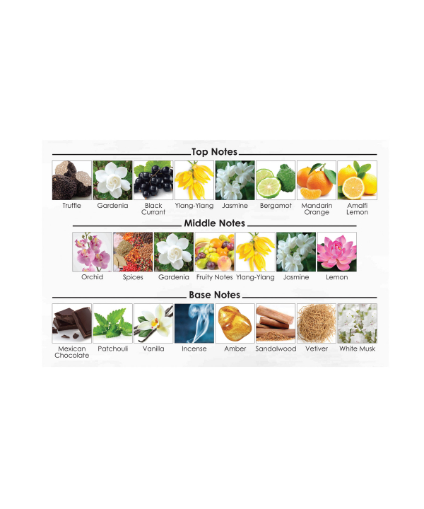 ادوپرفیوم مردانه نوئوو Nuevo مدل Black Orchid حجم 50 میلی‌لیتر