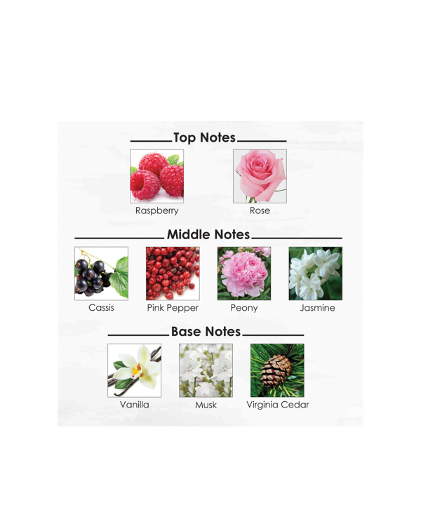 ادوپرفیوم زنانه نوئوو Nuevo مدل Tresor Midnight Rose حجم 50 میلی‌لیتر